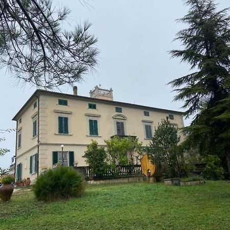 Affittacamere Porquier Crespina Esterno foto