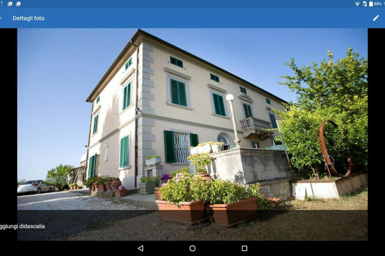 Affittacamere Porquier Crespina Esterno foto