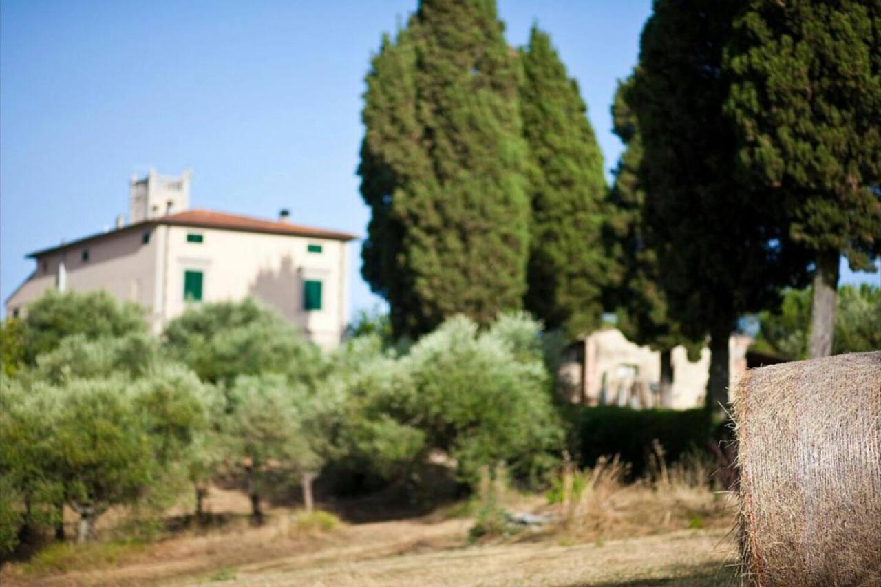 Affittacamere Porquier Crespina Esterno foto